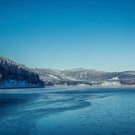 App 1103 - Mit Der Kuckucksuhr, Mit Indoorpool, Hochschwarzwaldkarte, Apartamento