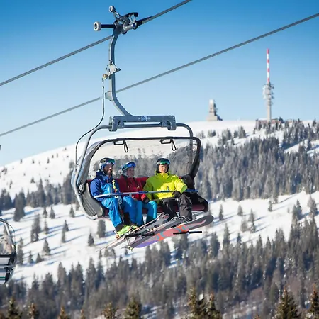 Apartamento App 1103 - Mit Der Kuckucksuhr, Mit Indoorpool, Hochschwarzwaldkarte, *