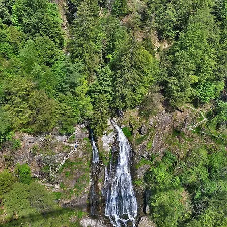 App 1103 - Mit Der Kuckucksuhr, Mit Indoorpool, Hochschwarzwaldkarte, Apartamento *