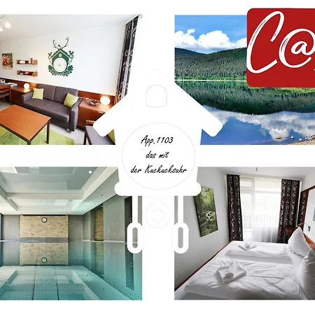 Schluchsee: Black Forest Retreat With Indoor Pool Apartment *